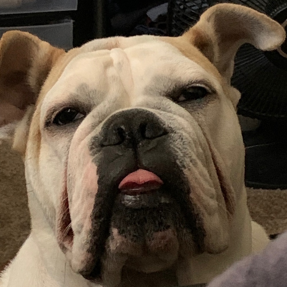 Meet your Posher, Jesus